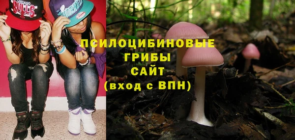 таблы Коряжма