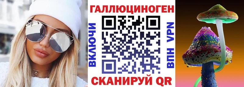 Купить где  Высоковск  Псилоцибиновые грибы Psilocybine cubensis 